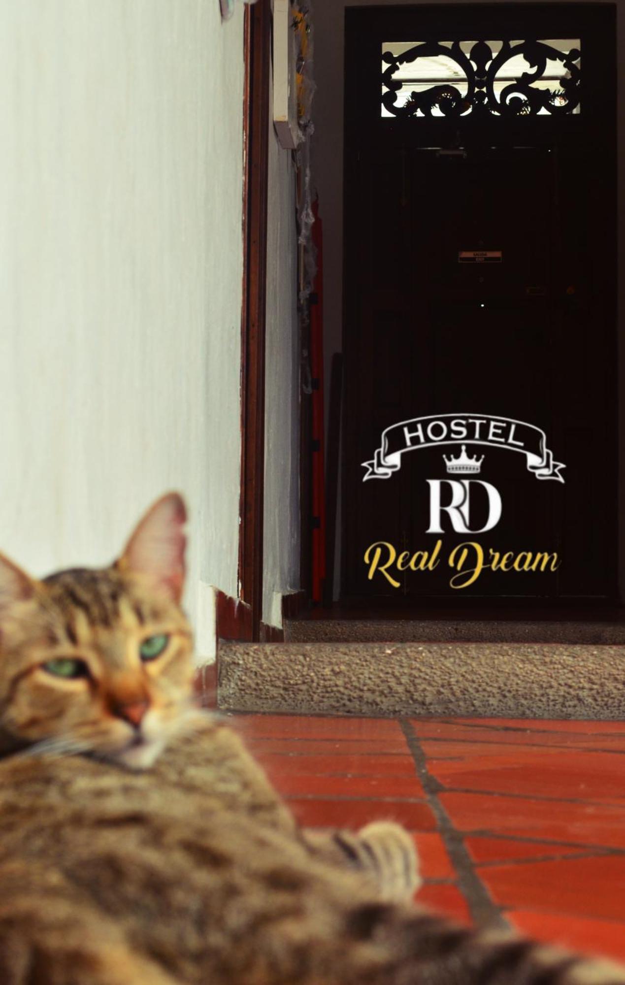 Real Dream Hostel San Gil Esterno foto
